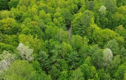 7 Sugar Hill, Underhill, VT 05489