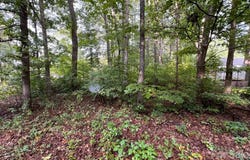 Hayes Waters Road, Morganton, NC 28655