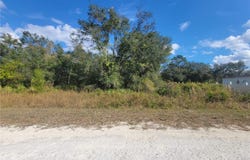 9460 ROUSSEAU Street, WEBSTER, FL 33597