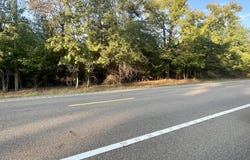 Highway 160, Doddridge, AR 71834