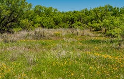 FM 600, Haskell, TX 79521