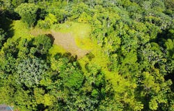 Angeles, Utuado, PR 00641