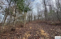 Shelor Rd, Meadows of Dan, VA 24120