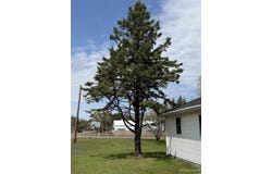 42976 Willson Memorial Drive, Chassell, MI 49916