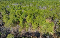 Lamprey Road, Broken Bow, OK 74728