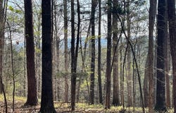 TR 1B Chalcrest Way, Cave Spring, GA 30124