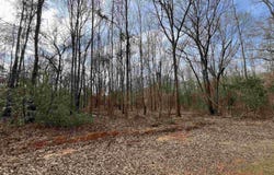 Venus Rd, White Oak, TX 75693