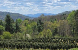 Rabbit Fork Rd lot: 0, Troutdale, VA 24378