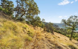 Spence, Berry Creek, CA 95966