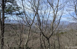 124 Settings Boulevard, Black Mountain, NC 28711