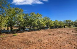Mesquite, Brady, TX 76825
