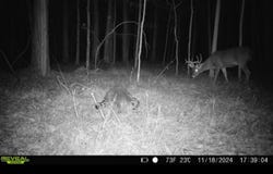 2 Forest Service Road 562, Pulaski, MS 39152