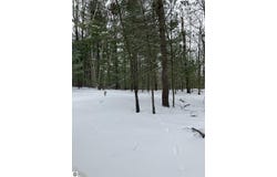 VL Wilderness Circle, Alger, MI 48610