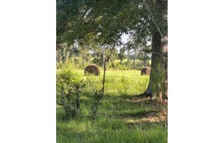 809 Osborn Moody, Poplarville, MS 39470