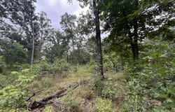 Partridge Drive, Climax Springs, MO 65324