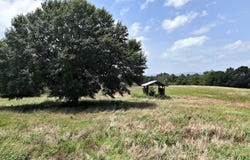 Polk Road 283, Hatfield, AR 71945