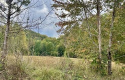 1073 Old Way Road, London, KY 40741