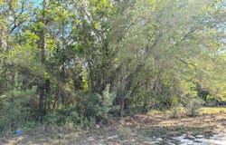 5537 LASSEN Street, Keystone Heights, FL 32656