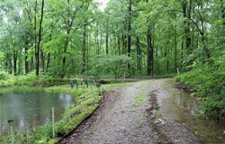 S Benham Mill Road, English, IN 47118