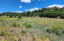Big Bow Drive, Cotopaxi, CO 81223