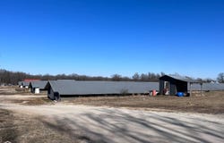 920 hwy 25, Strawberry, AR 72469