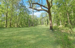 7 Milcrest Drive, Awendaw, SC 29429