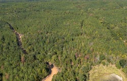 Lake Road, Duck Hill, MS 38925
