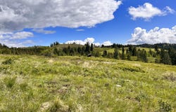 27 MOONLIGHT Dr, CURLEW, WA 99118