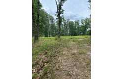 County Road 272, Vanzant, MO 65768
