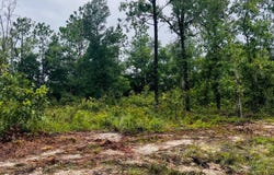 6283 Vanderbilt, Keystone Heights, FL 32656