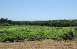 886 Scipio Ln., Mc Alester, OK 74501