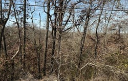 Highway 289 Street, Mammoth Spring, AR 72554