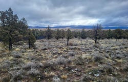 Lazo Ln, Dorris, CA 96023
