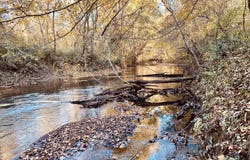 High Point Road, Edgefield, SC 29824