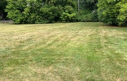 538 Laprairie Street, Ferndale, MI 48220