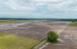 Farm, Alma, AR 72921