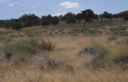 Tamblin Rd Lot 239, Tehachapi, CA 93561