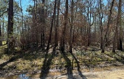 1869 Cedar Creek Circle, Coden, AL 36523