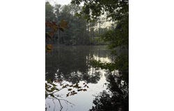 2 Hwy 76, Newberry, SC 29108