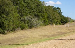 Private Road 7039, Lexington, TX 78947