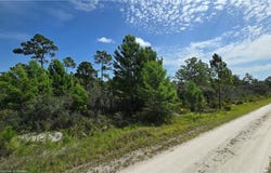 259 Scrub Jay Avenue, Sebring, FL 33870