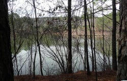 307 FOOTHILLS DRIVE, STERRETT, AL 35147