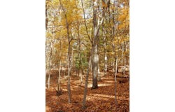 47 QUARRY HILL RD, HOT SPRINGS, VA 24445