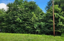 E Highway 190, Ragley, LA 70657