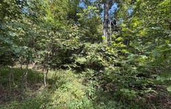1041 Flood Road, Hardinsburg, KY 40143