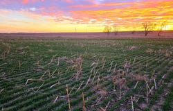 300th Ave, Nekoma, KS 67559