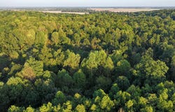 SFC 700, Forrest City, AR 72335