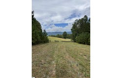 River Park Lane, Mill Spring, NC 28756