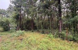 TBD Pecan Tree Lane, Montgomery, TX 77316