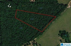 SHILOH CHURCH ROAD lot: 0, DELTA, AL 36258